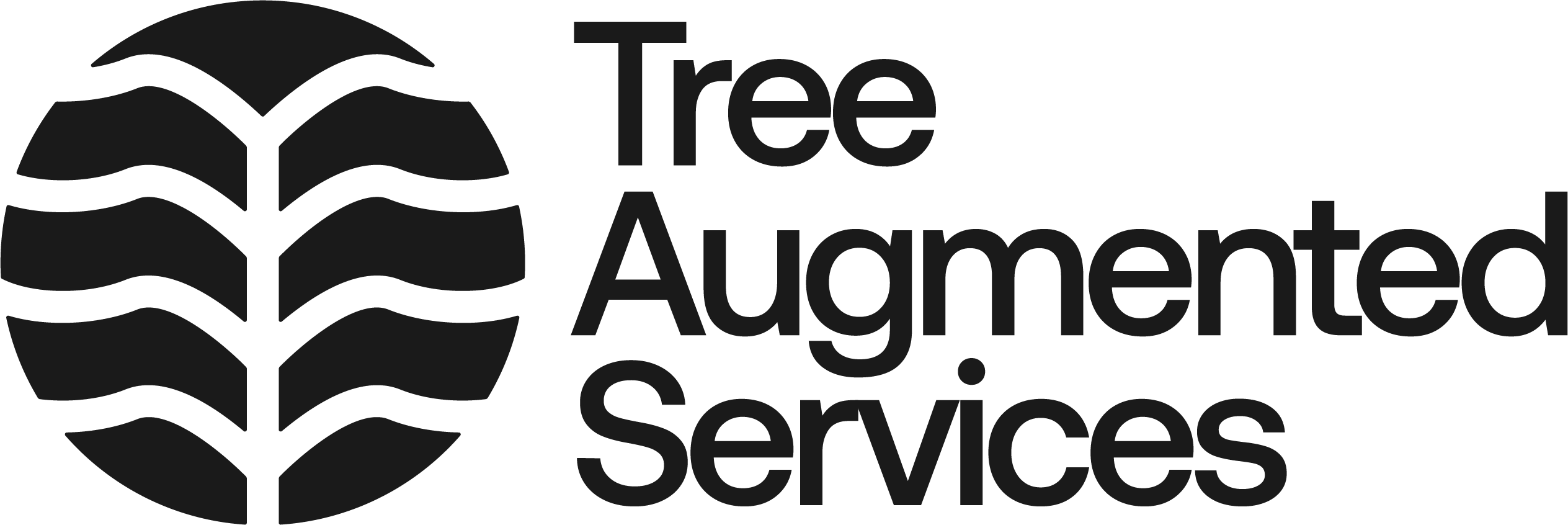 Tree Augmented